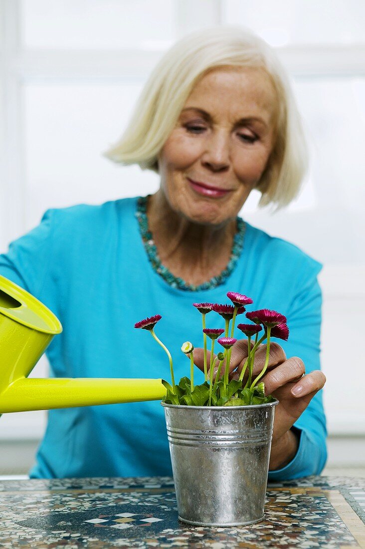 Senior woman watering houseplant, close-up