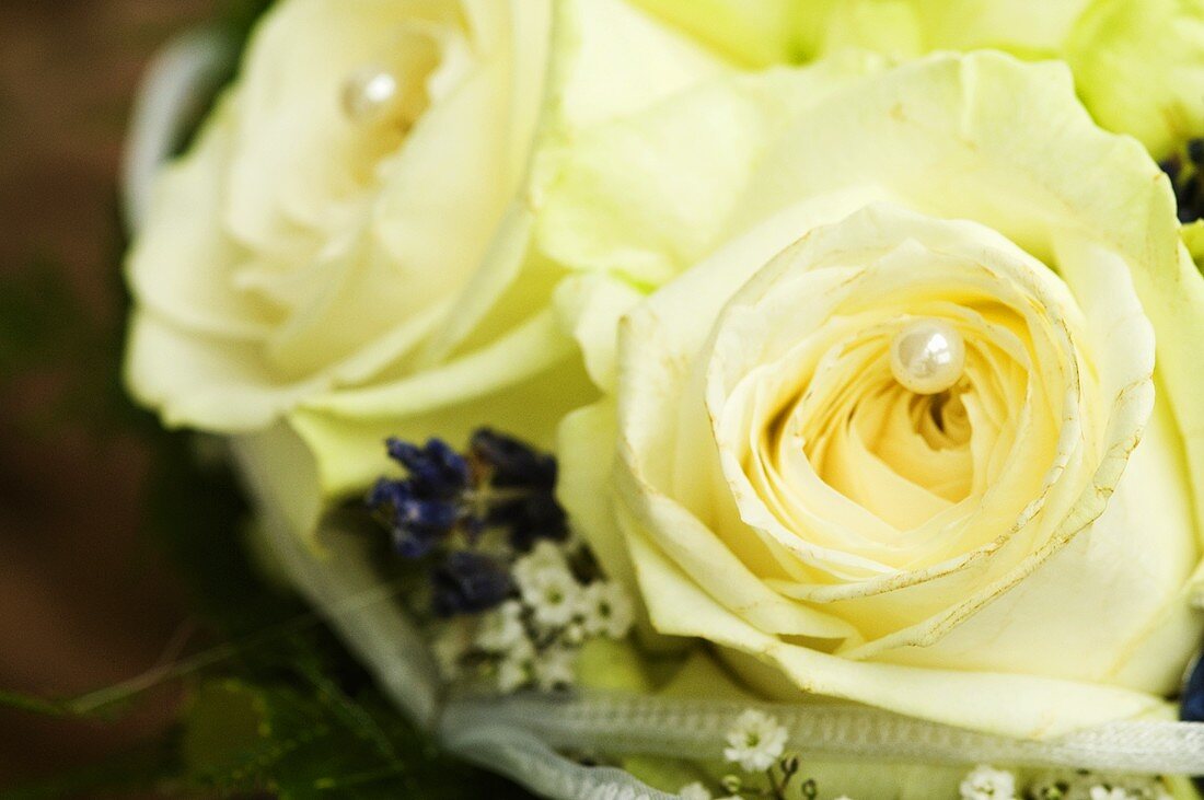 White roses in a wedding bouquet