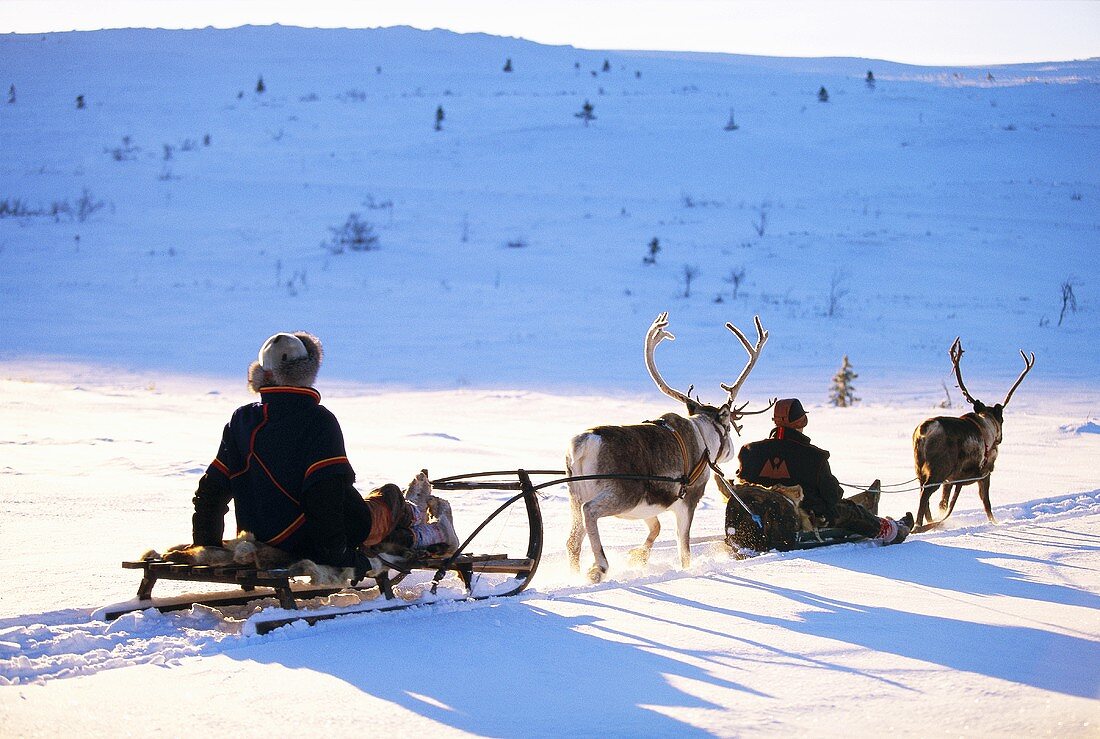 Two reindeer sleighs
