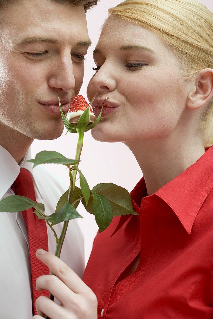 Pärchen küsst Schokoladenerdbeere auf Rosenstiel