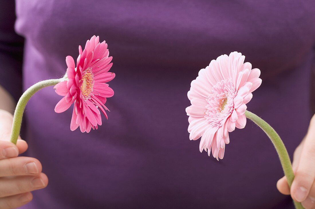 Frau hält in jeder Hand eine Gerbera