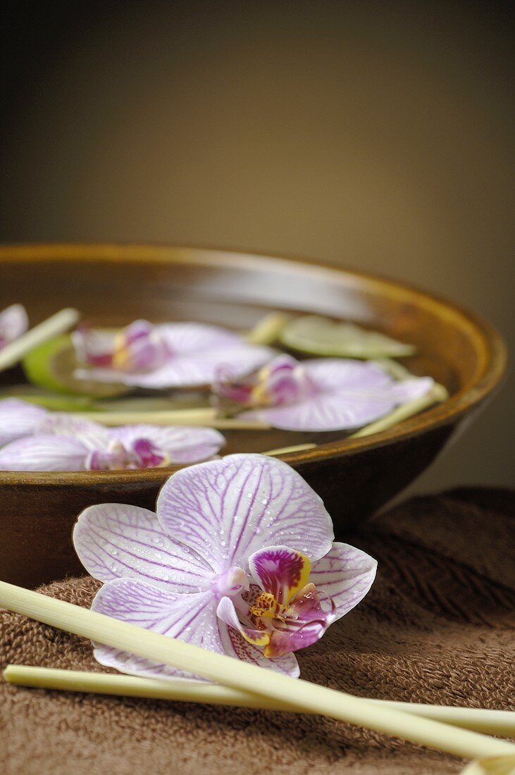 Orchid flowers & lemon grass in & beside bowl of water