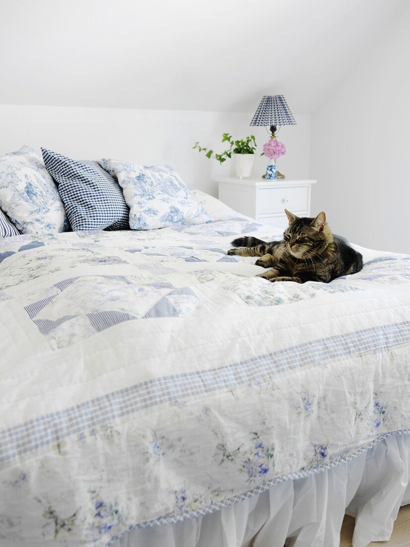A cat lying on a bed in a bedroom