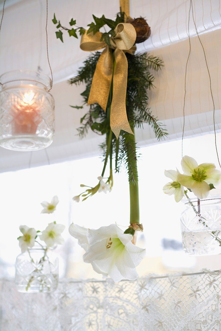 White amaryllises (Christmas decorations)