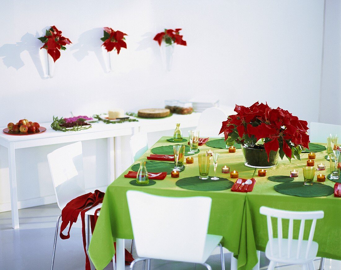 Festive table with poinsettia, buffet
