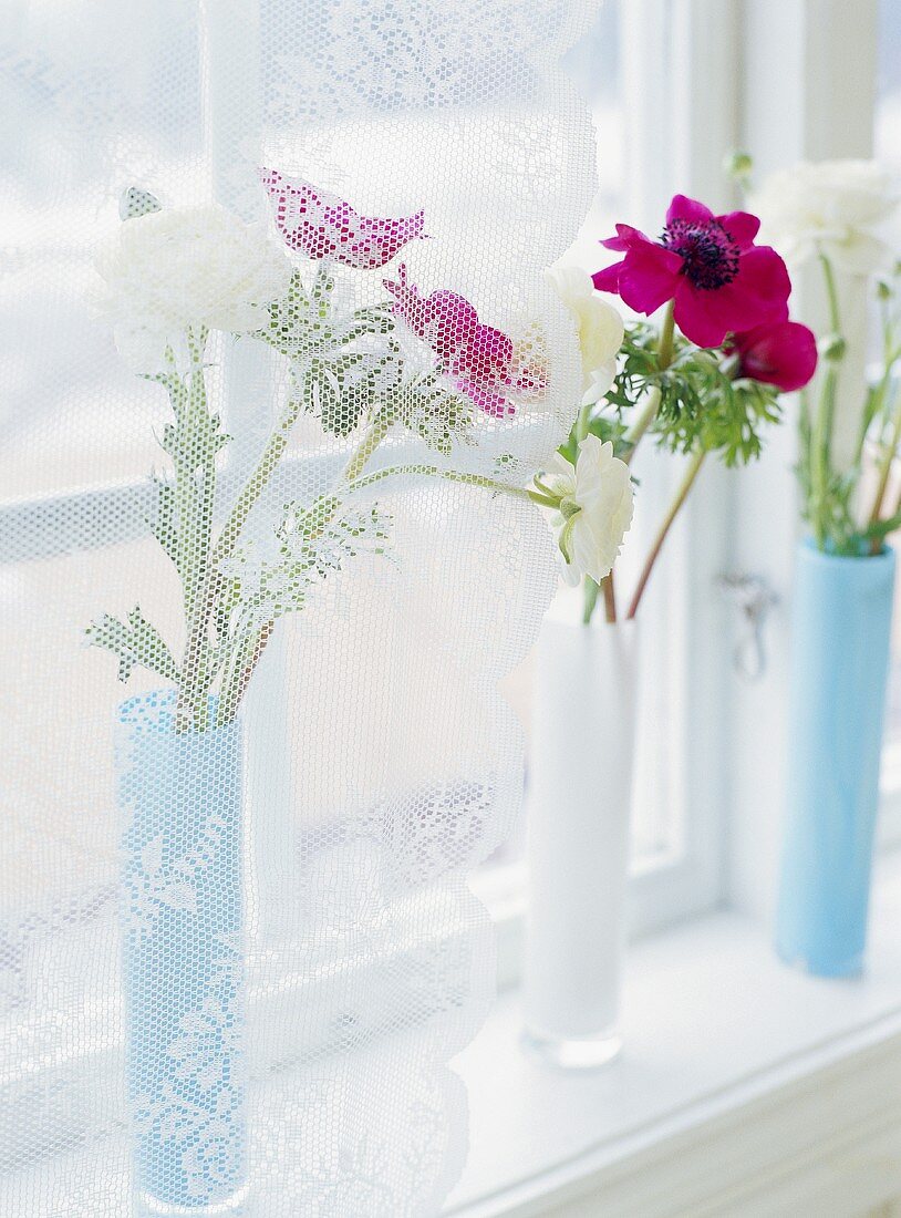 Vases of anemones on a window sill