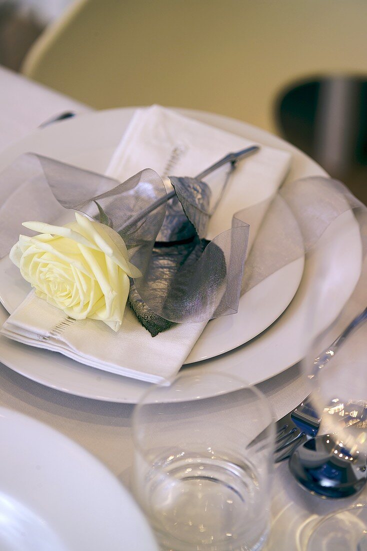 Rose with silver leaves