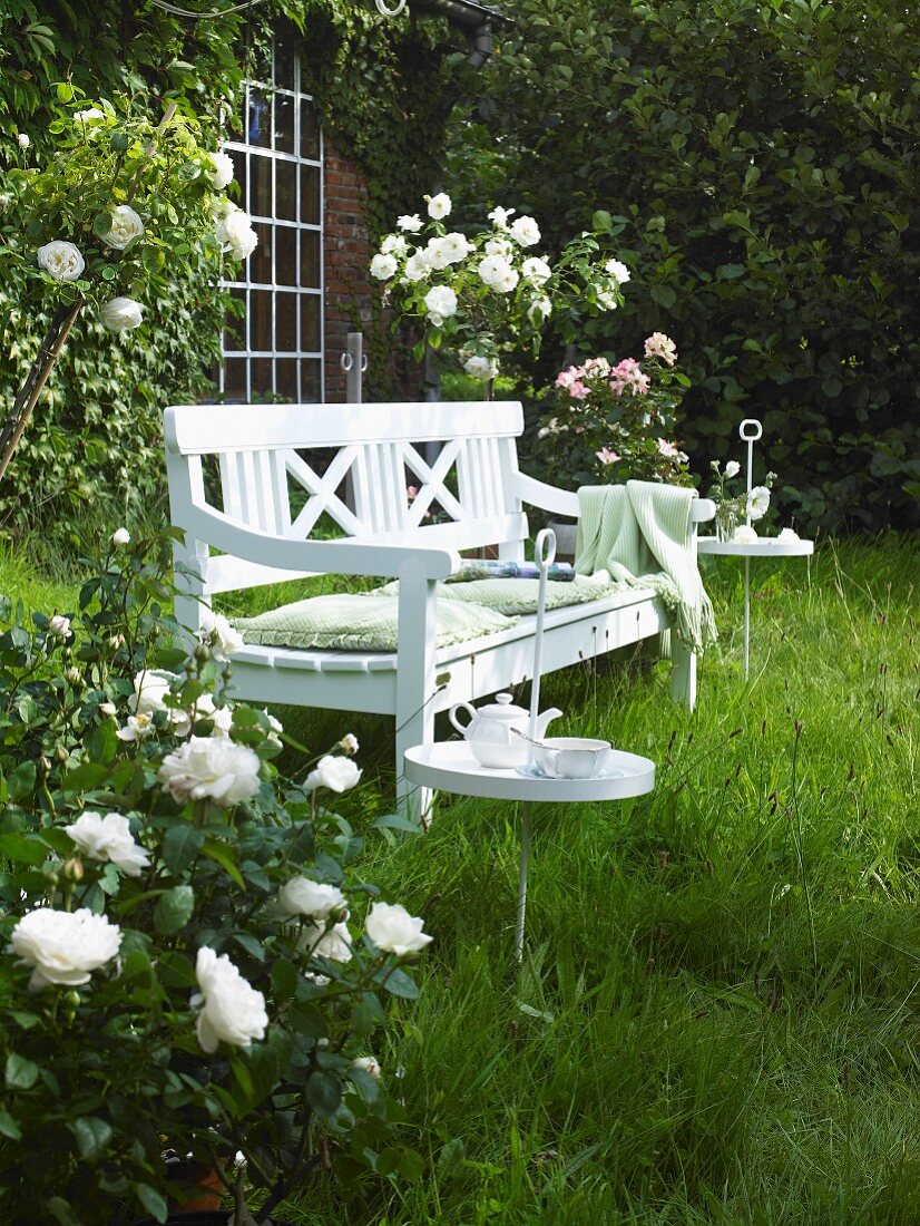 weiße Gartenbank zwischen blühenden Rosen