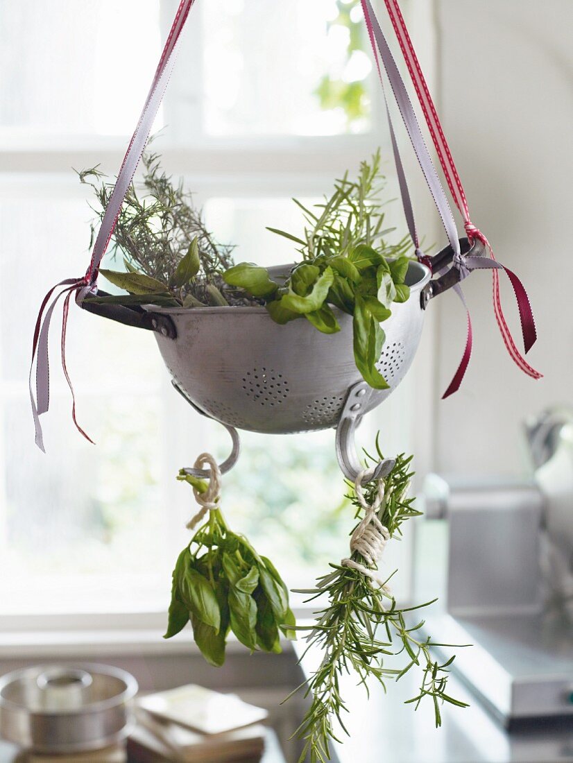 An old-fashioned colander of fresh herbs hanging up