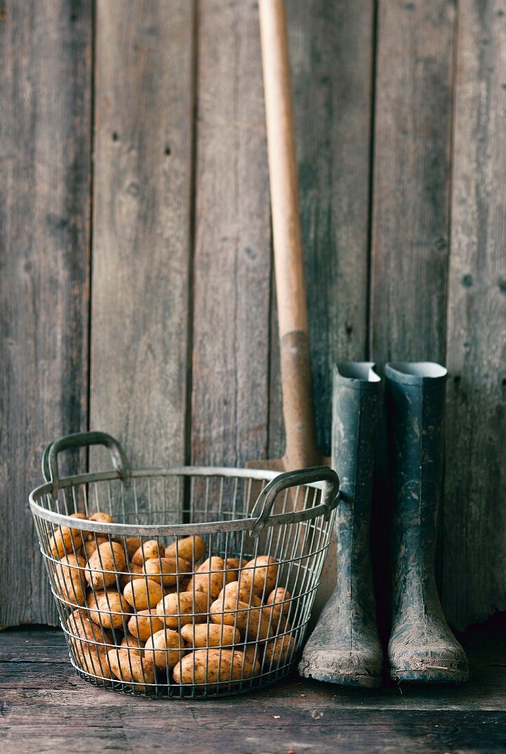 An arrangement featuring a basket of potatoes, wellie boots and a spade