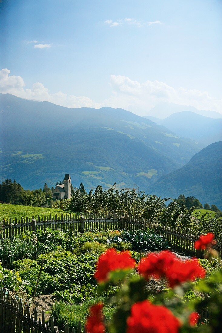 A view of the surrounding countryside from a summery farm garden, Oberhauserhof, South Tyrol