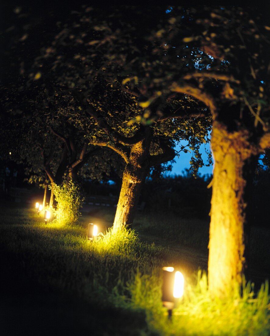 An illuminated garden - garden lamps in an apple orchard