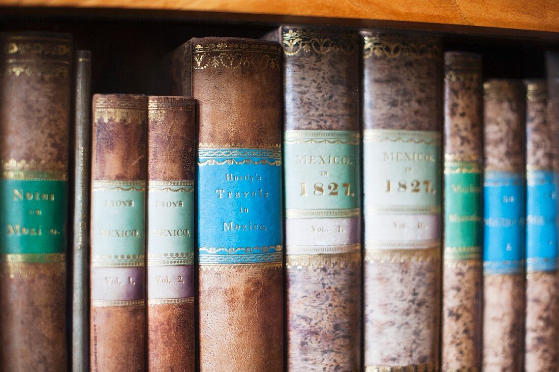 The library at Corvey – antique books with gold decorations on a bookshelf