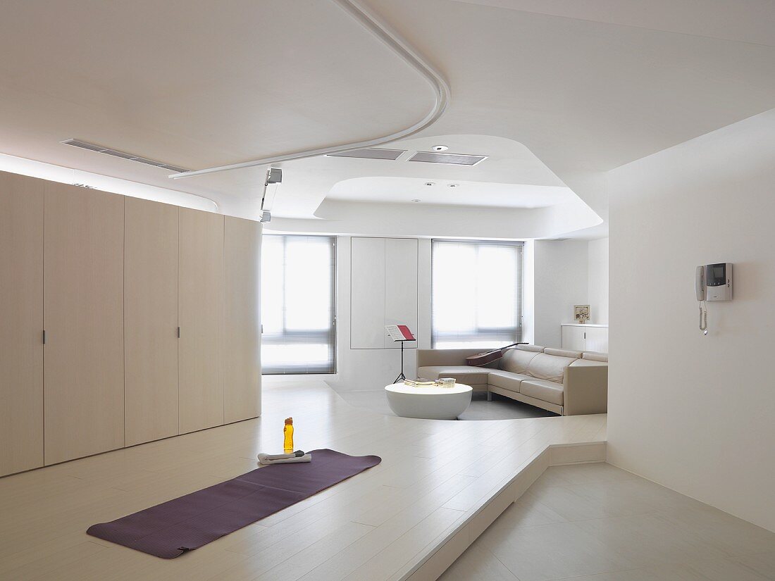 Light colored spacious modern living room