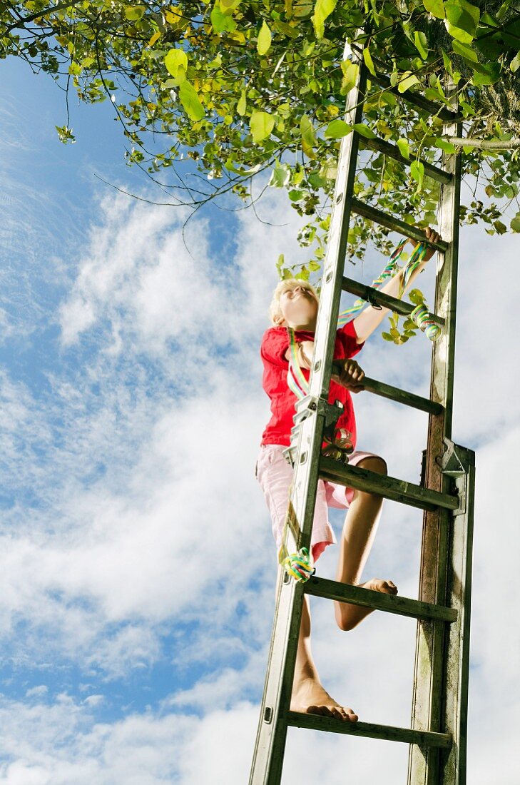 Blondes Kind klettert eine Leiter am Baum hoch