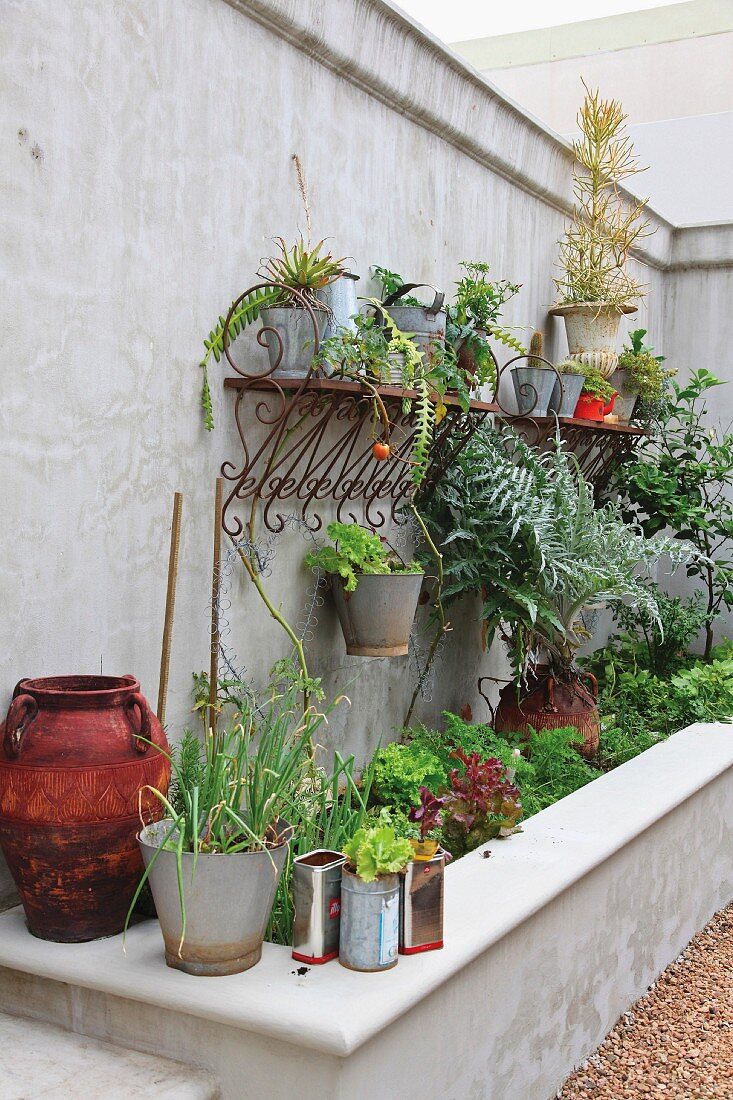 Metallgestell mit Blumentöpfen an Betonmauer aufgehängt über Hochbeet mit Einfassung in einem Innenhof