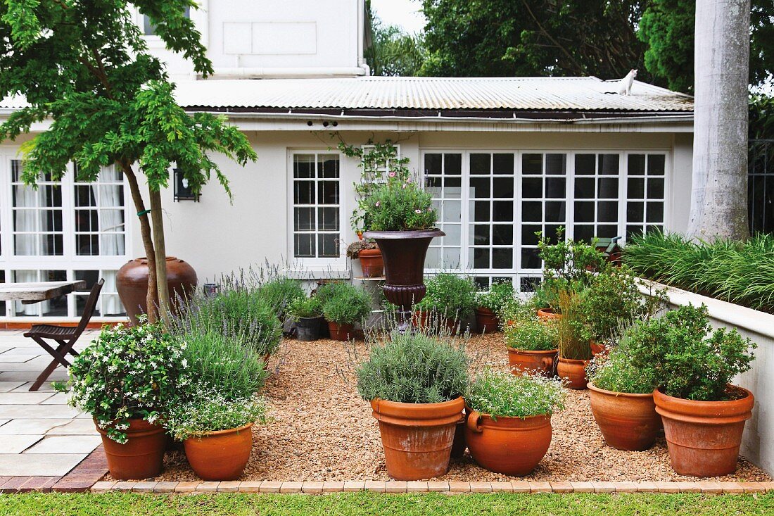 Pflanzen in verschiedenen Tontöpfen auf gekiester Terrasse vor Wohnhaus mit Terrassensprossentüren