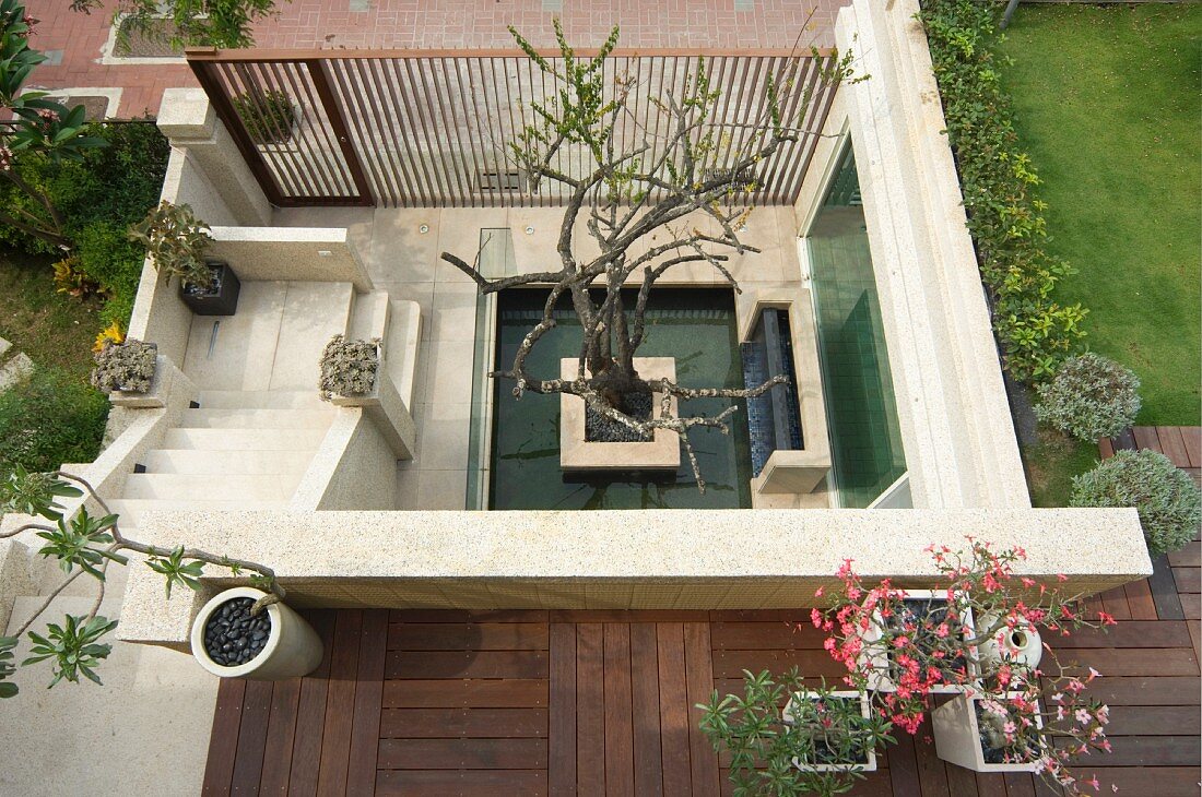 Blick von oben in kleinen Eingangshof im asiatischen Stil mit Steinstufen und Baum in der Mitte eines Wasserbeckens