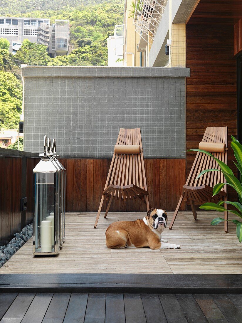 Geschützte Holzterrasse mit grossen Windlaternen und Hund vor Relaxstühlen aus Holz