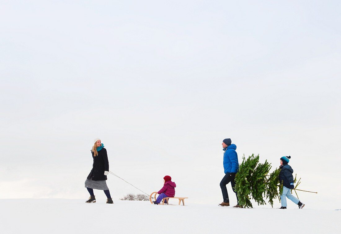 Familie mit Schlitten und Tannenbaum im Schnee