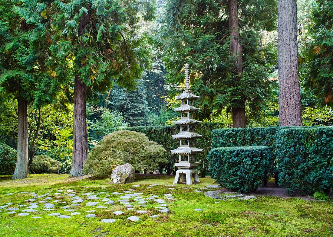 Japanischer Garten mit alten Bäumen und gleichmäßig geschnittenen Hecken