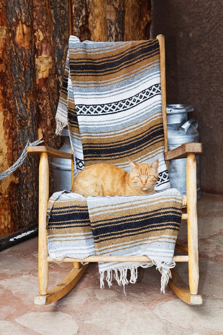 Katze auf einem Holzschaukelstuhl