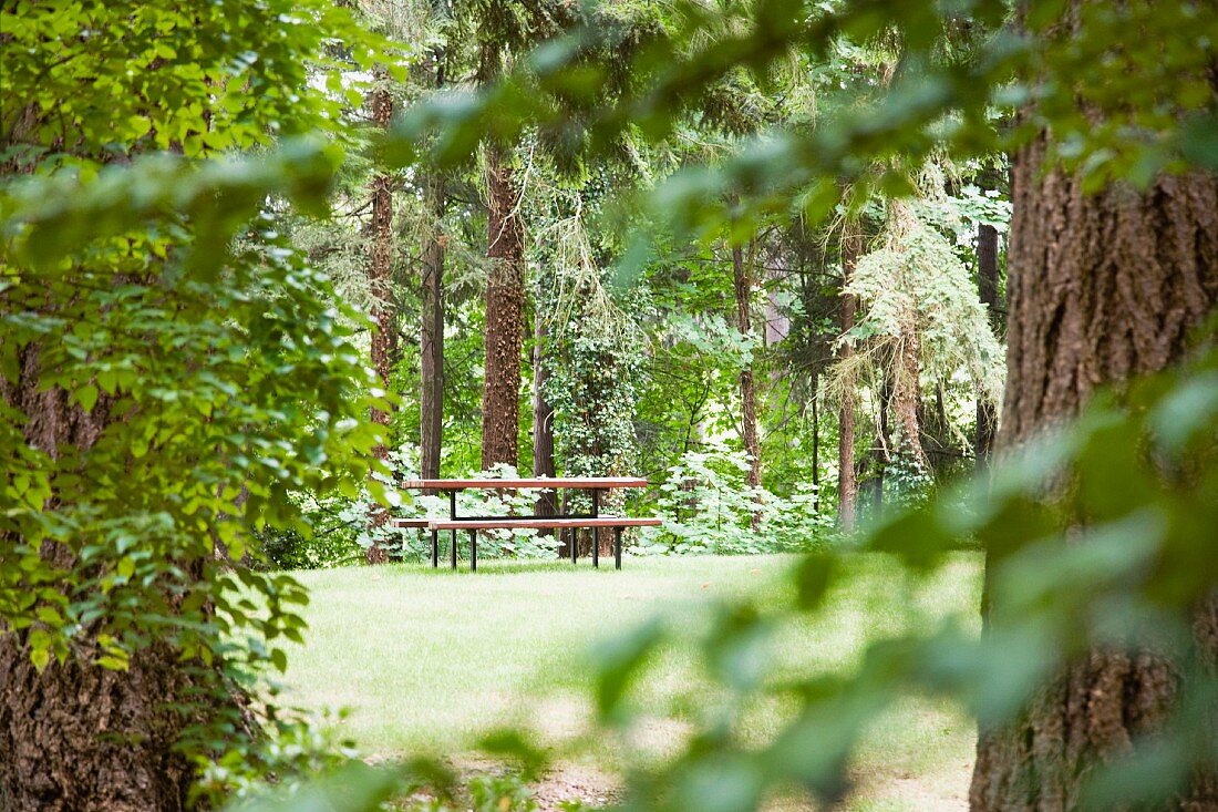 Picknicktisch im Wald