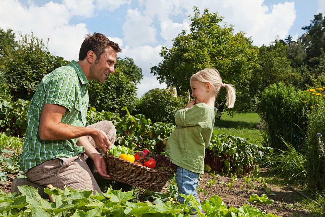 Vater und Tochter tragen einen Korb mit frisch geerntetem Gemüse