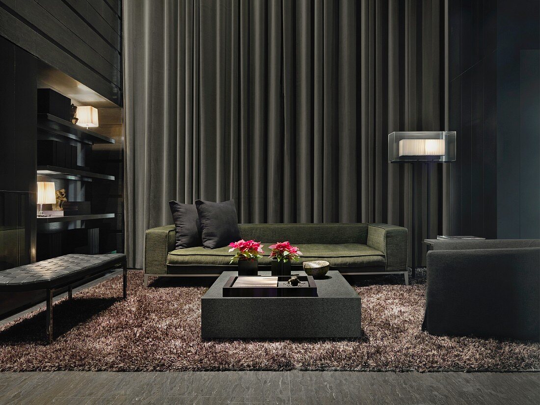 Dark modern living room