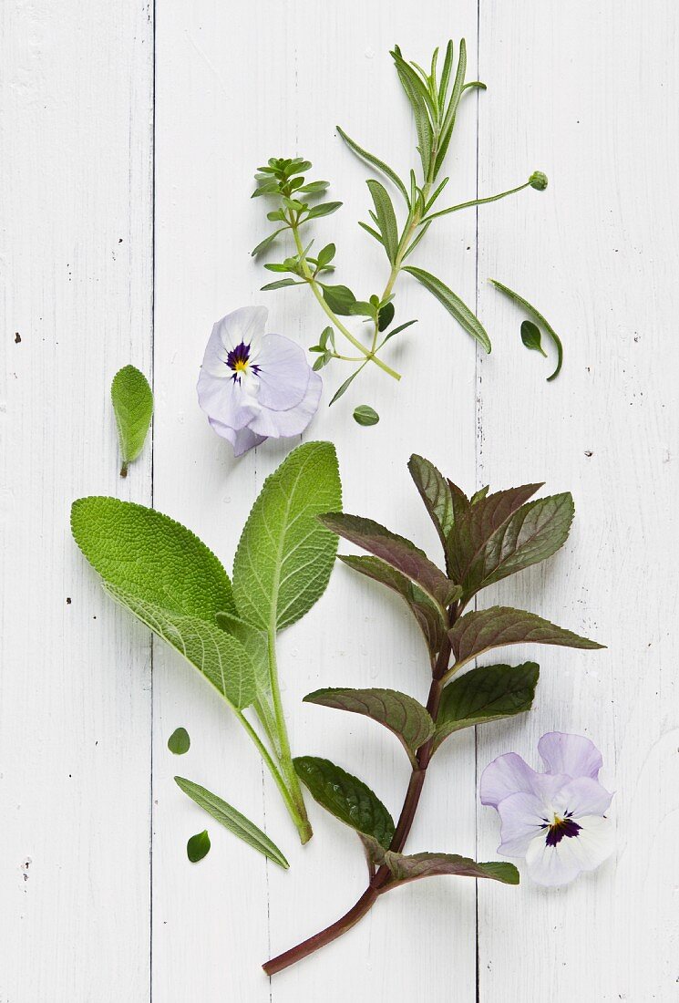 Herbs and violet flowers on a white surface