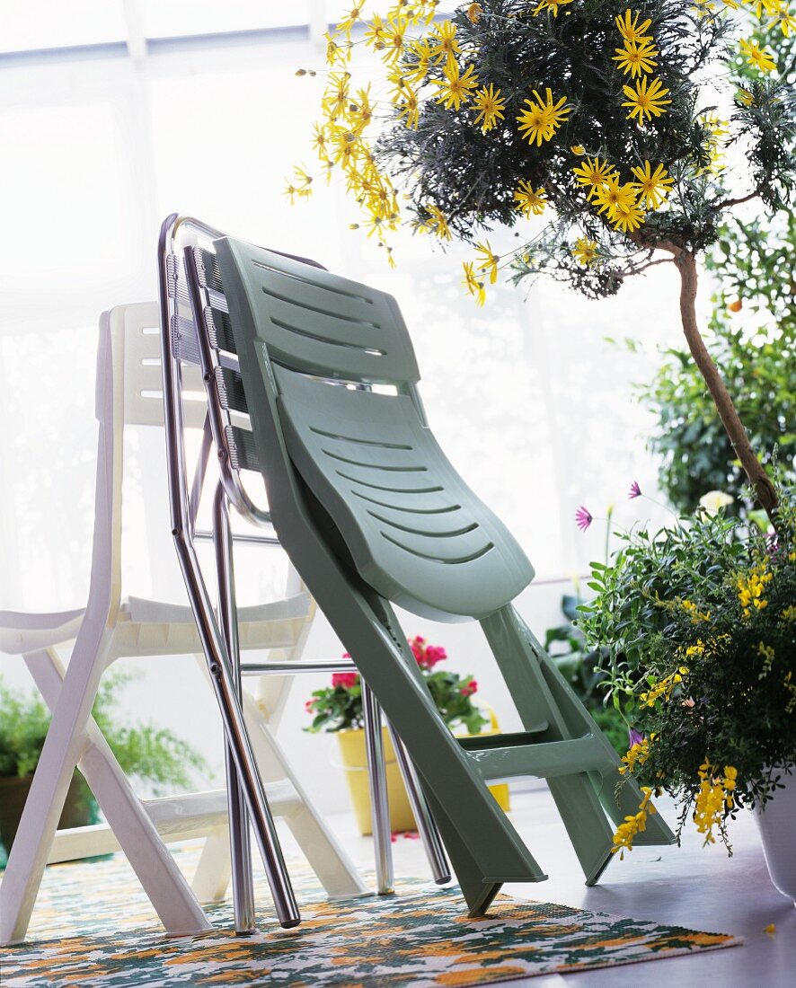 Assorted folding chairs and a small tree with yellow flowers in a pot