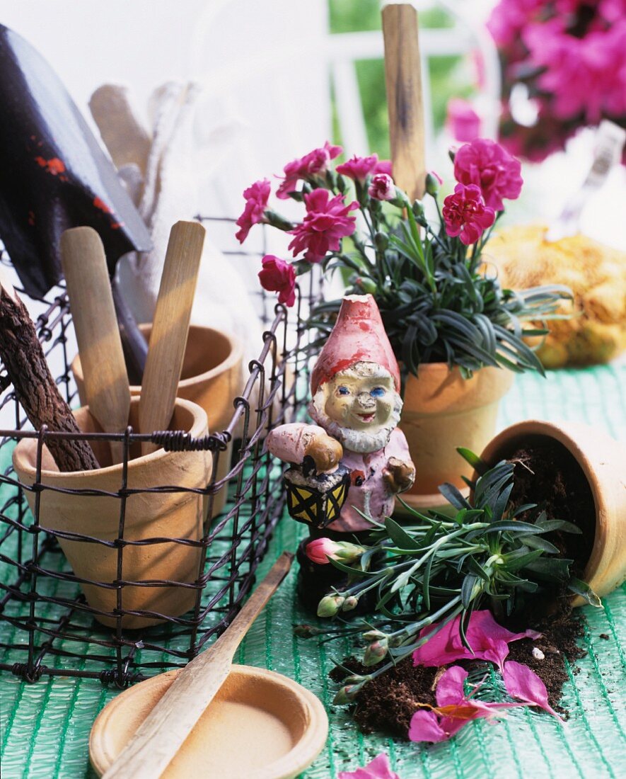 Garden gnome between carnations in a pot and garden tools in a woven metal flower box