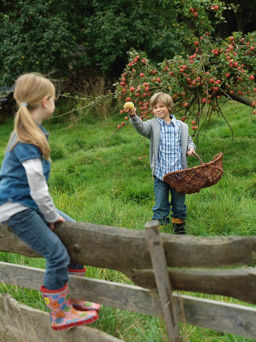 Junge zeigt Mädchen auf Zaun einen Apfel