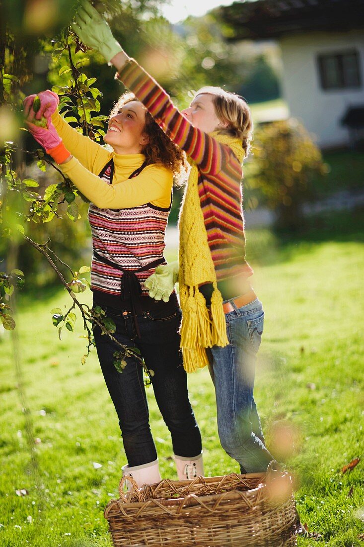 Zwei junge Frauen beim Apfelpflücken im herbstlichen Garten