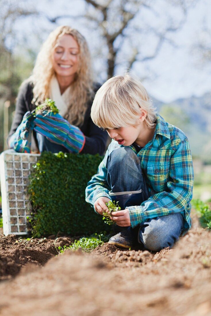 Mother and son planting in garden