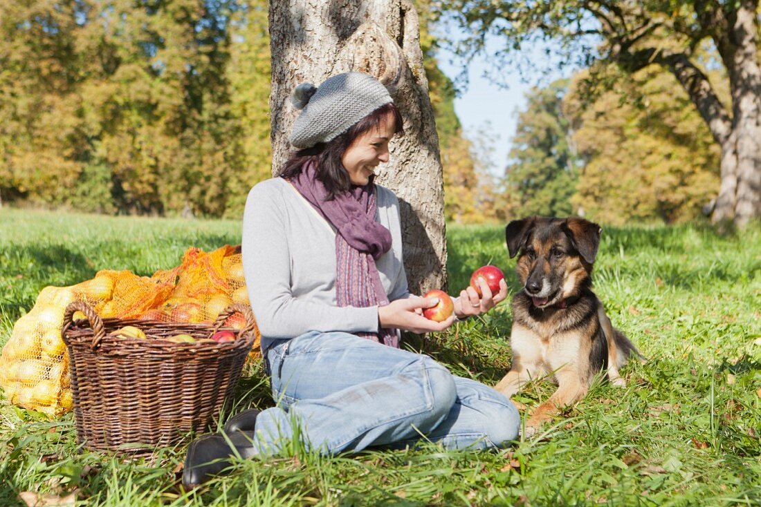 Woman picking apples with dog