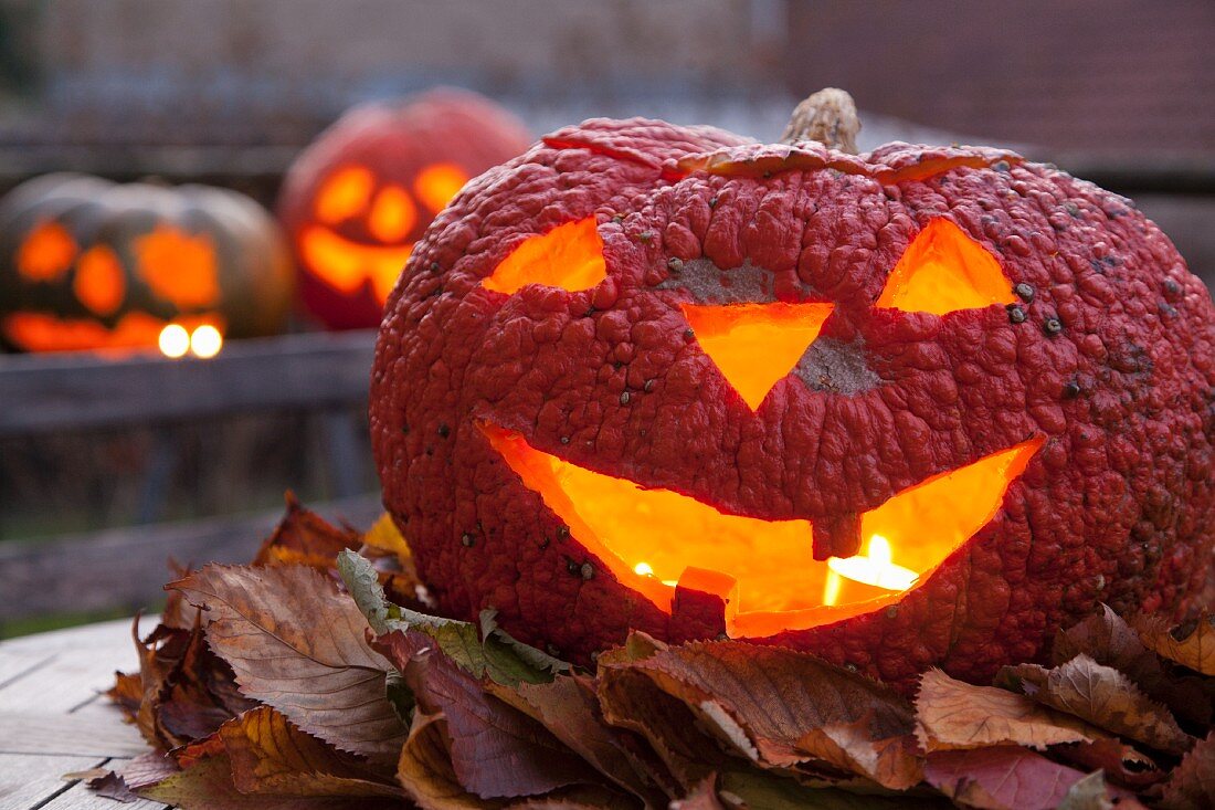 Candlelit pumpkin jack 'o' lantern