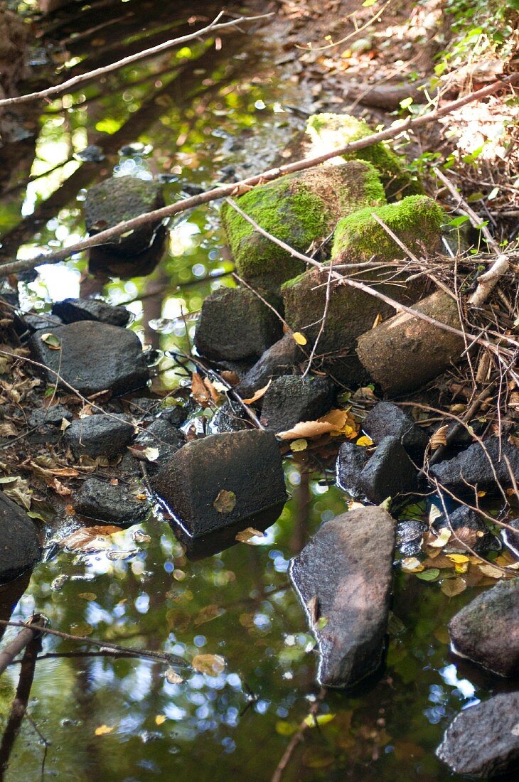Bächlein mit moosigen Steinen im Wald