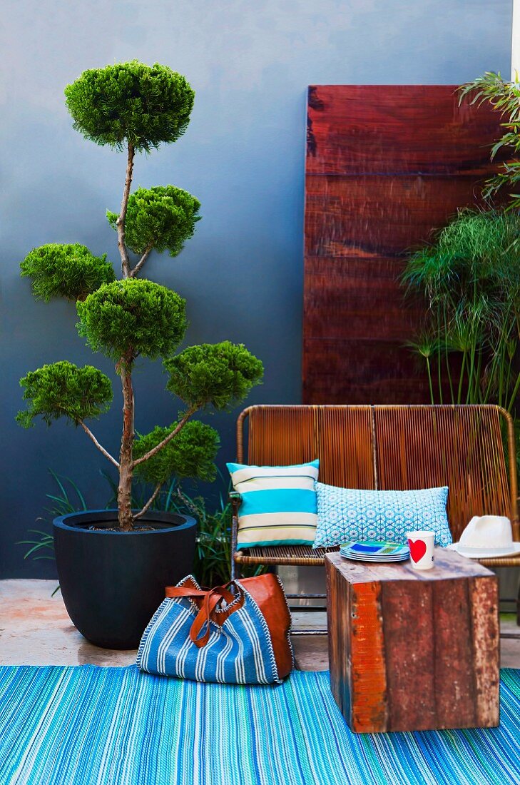Topiary in a pot next to a vintage bench with pillows and square coffee table on a striped carpet runner