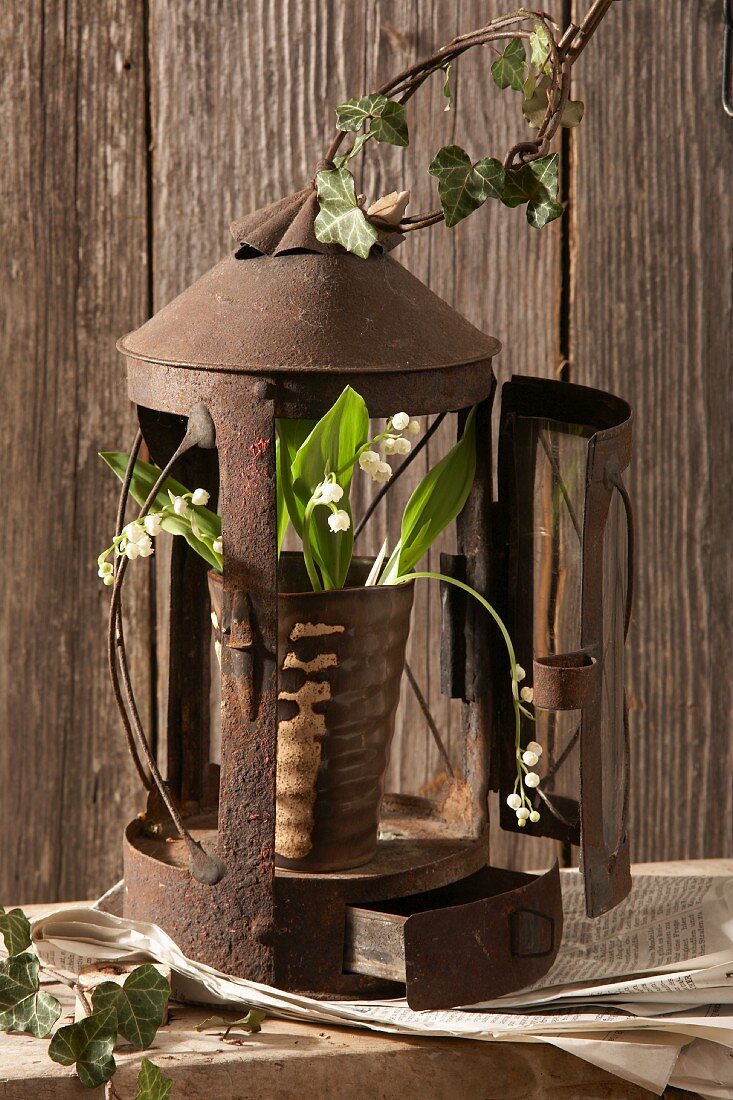 Lily of the valley and ivy tendrils in front of a rusty lantern