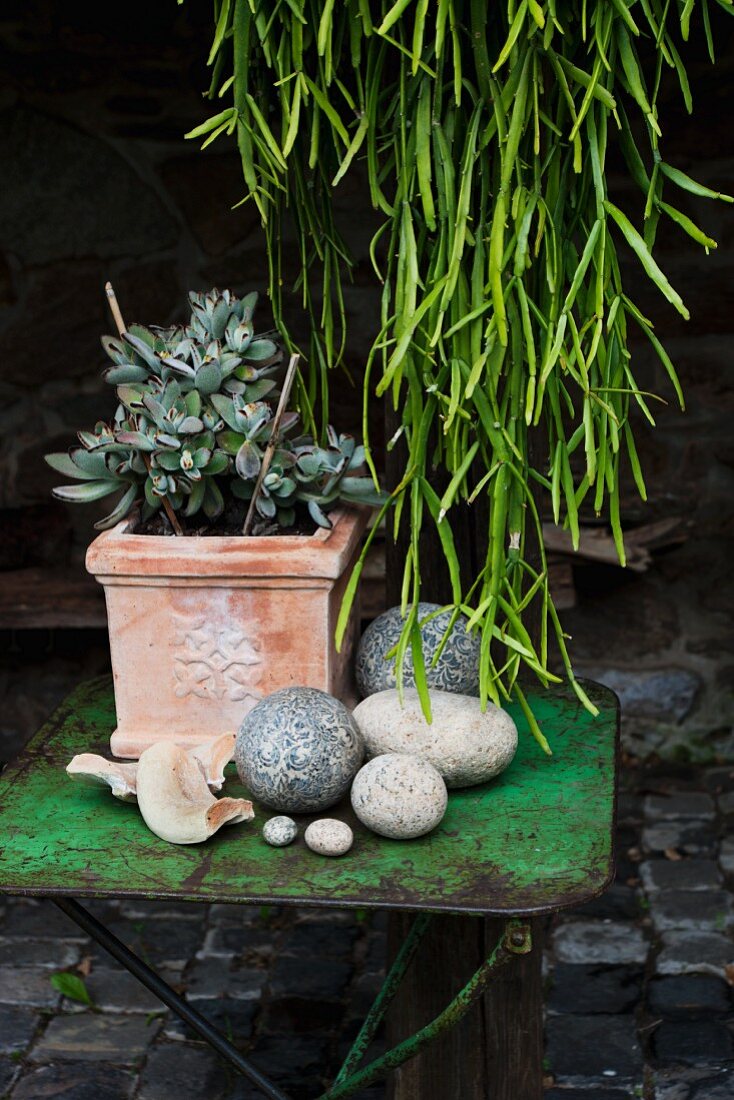Assorted stones and jade plant on an old metal table