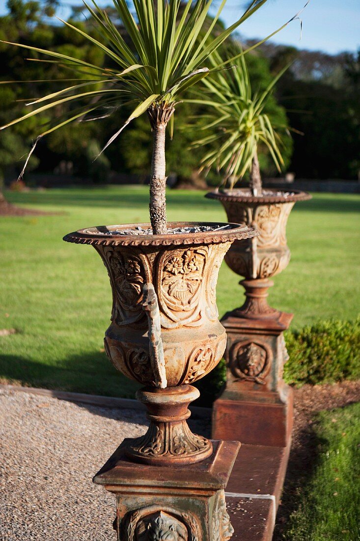 Young palms in antique containers and stone pedestals decorated in relief
