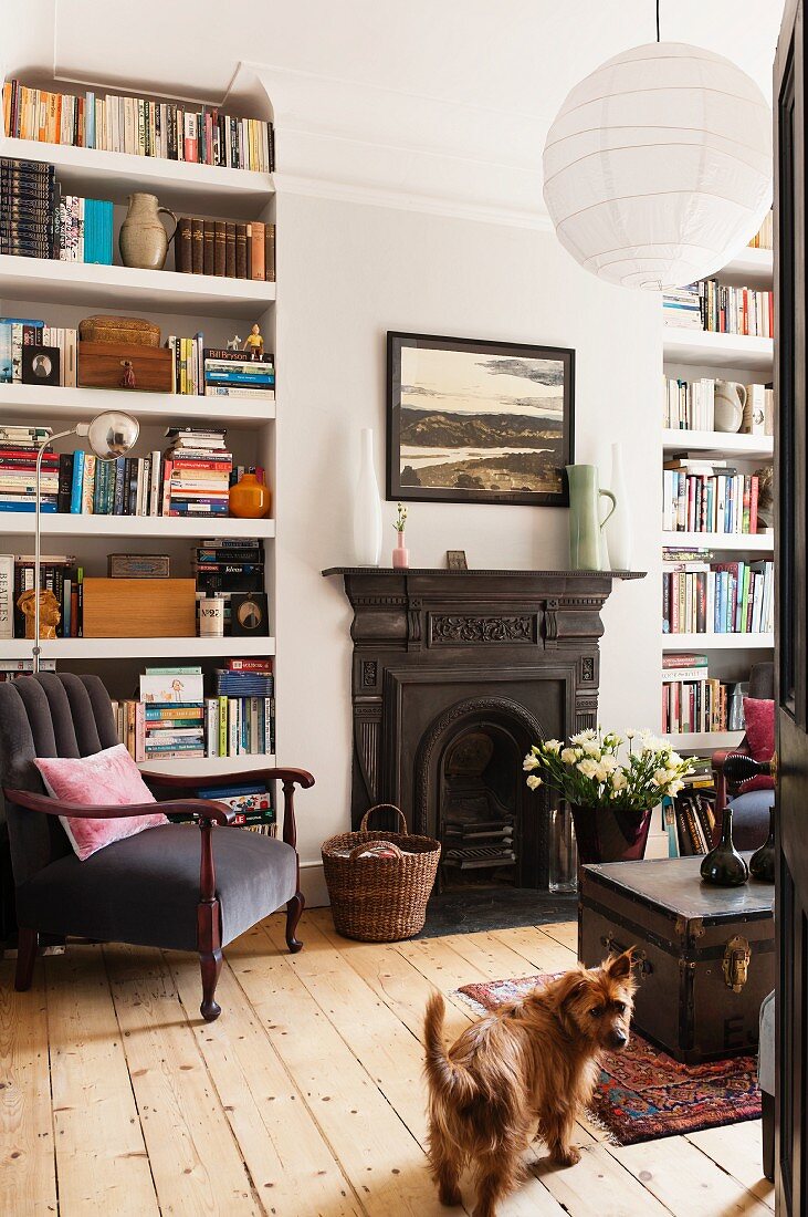 White-painted bookshelves in sitting room with traditional fireplace, old school trunk and grey armchair