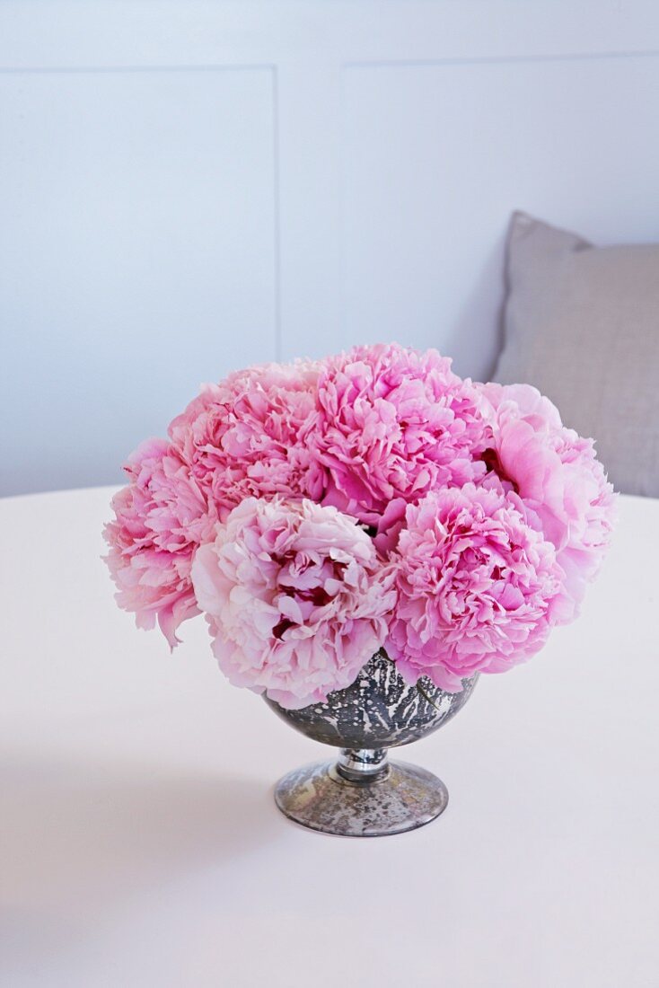 Pink Peonies in a Silver Vase on a Table