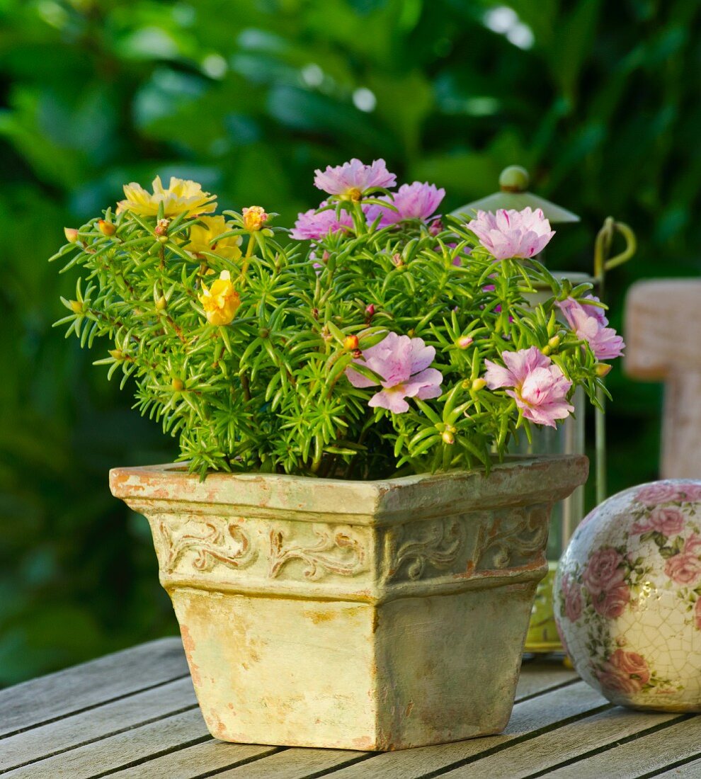 Flower pot on a garden table