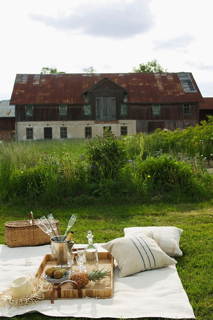Edles Picknick mit Champagner auf der gemähter Wiese vor altem Bauernhaus