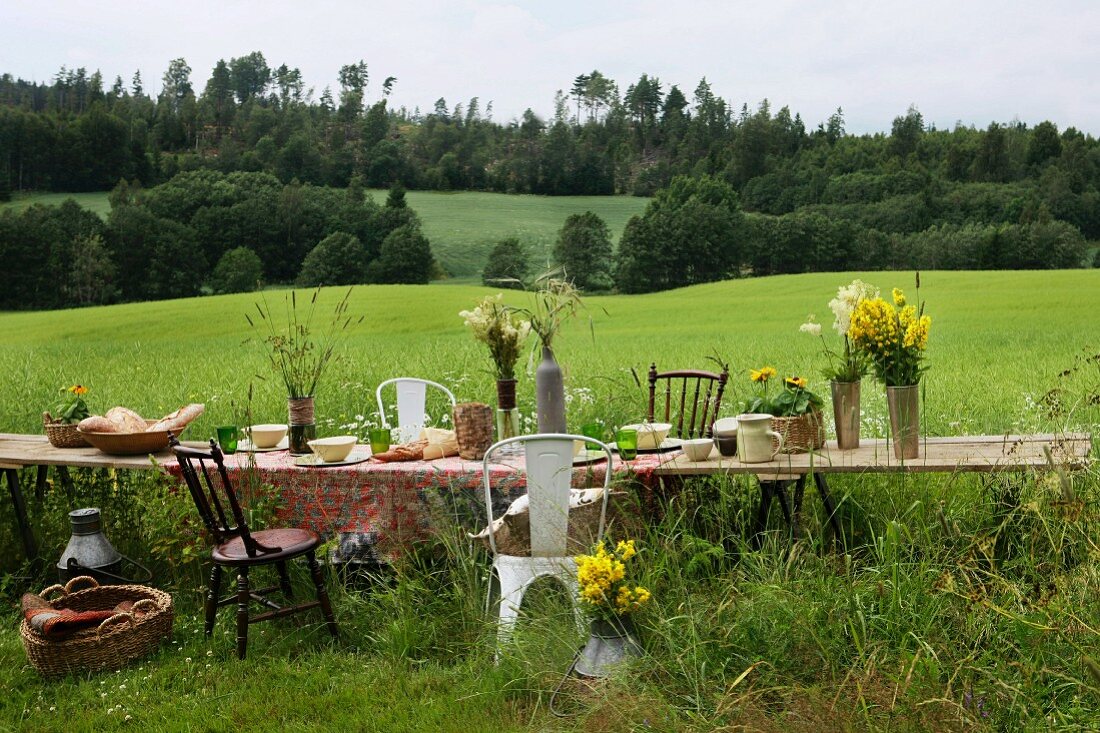 Gedeckter Tisch auf einer Wiese für ein Sommerfest in Norwegen