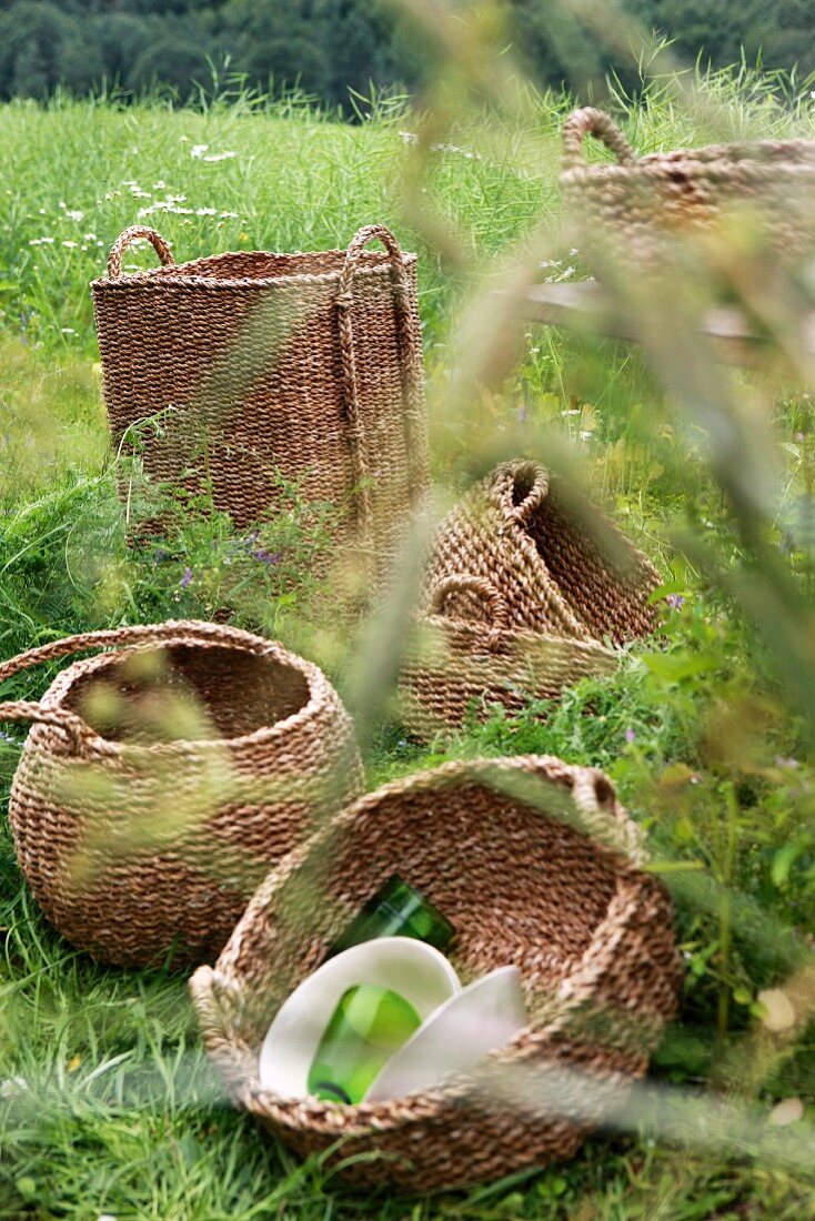 Various storage baskets in meadow