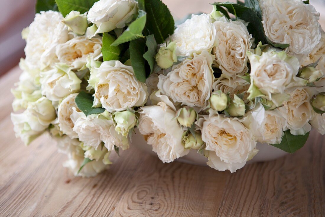 Bouquets of White Garden Roses