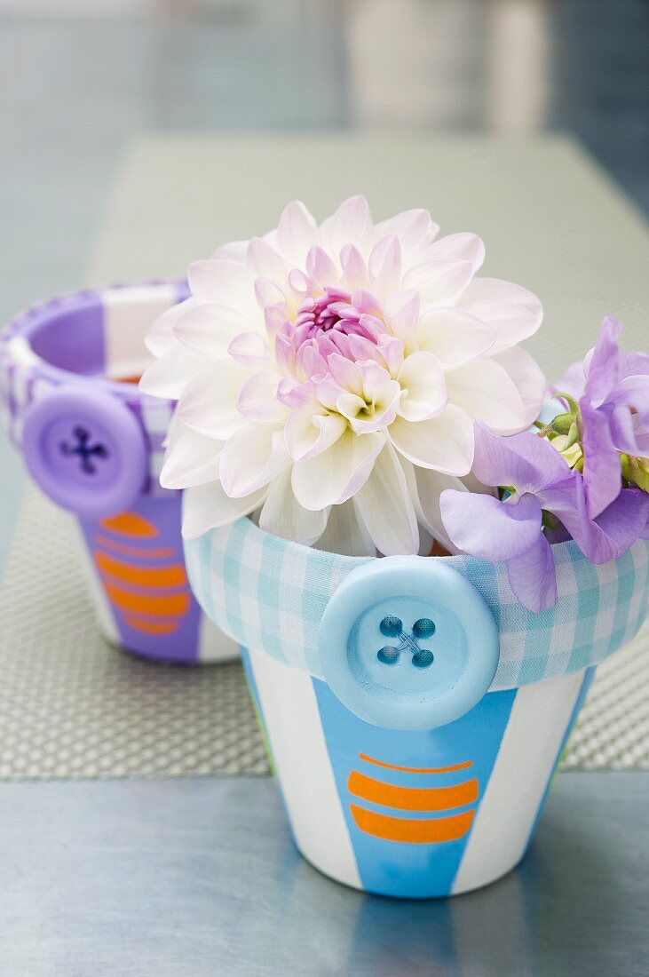 Dahlias in plant pots decorated with butoons